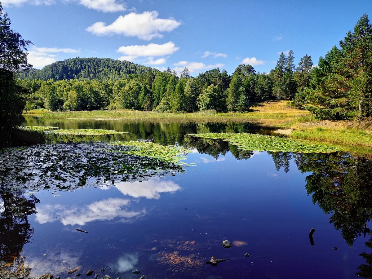 Randonner dans les parcs nationaux écossais
